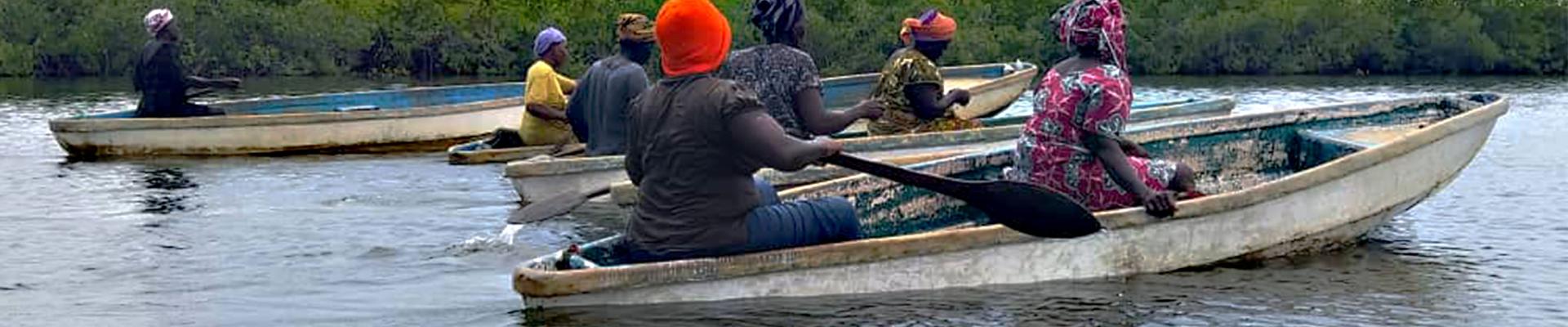 Women paddling canoes to harvest oysters
